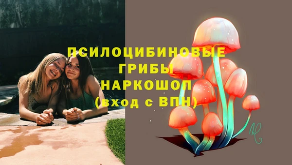 ECSTASY Семёнов