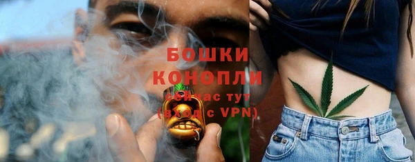 стафф Ростов