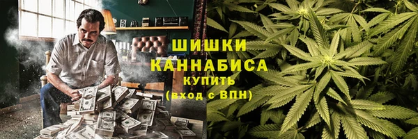 ПСИЛОЦИБИНОВЫЕ ГРИБЫ Алзамай