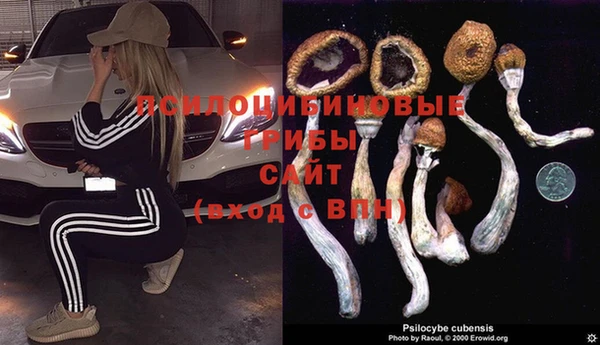 ПСИЛОЦИБИНОВЫЕ ГРИБЫ Алзамай