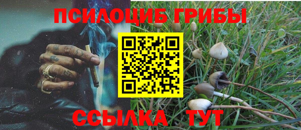 Псилоцибиновые грибы прущие грибы Лобня